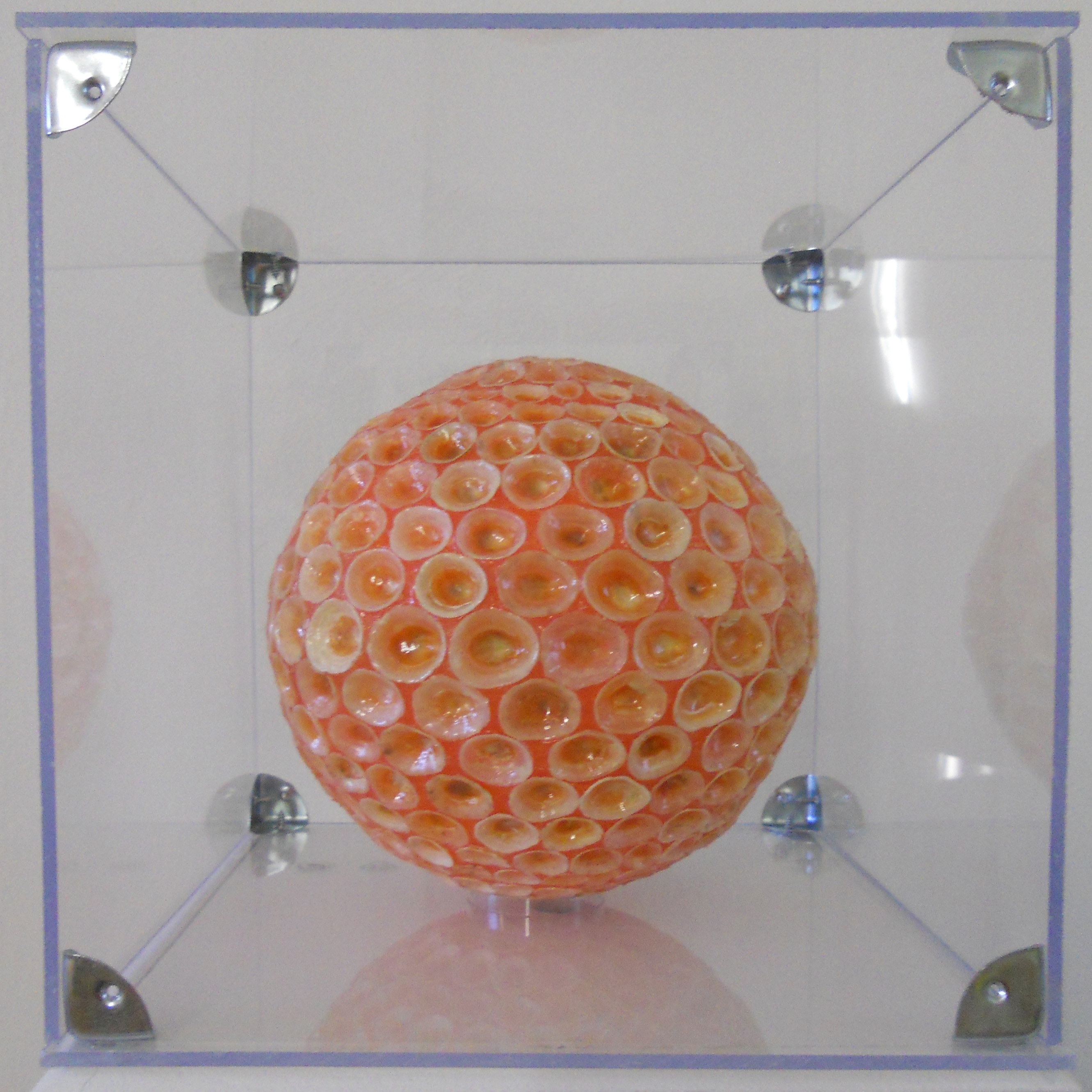 MW 09 (Hohe Aufl&ouml;sung)